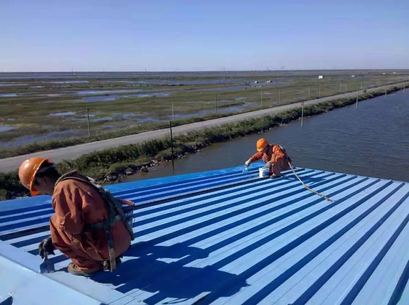 龙亭钢结构屋面漏水原因